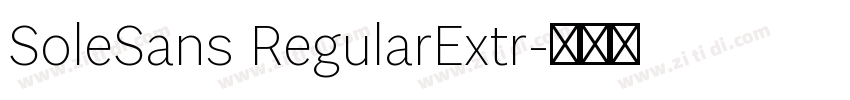 SoleSans RegularExtr字体转换